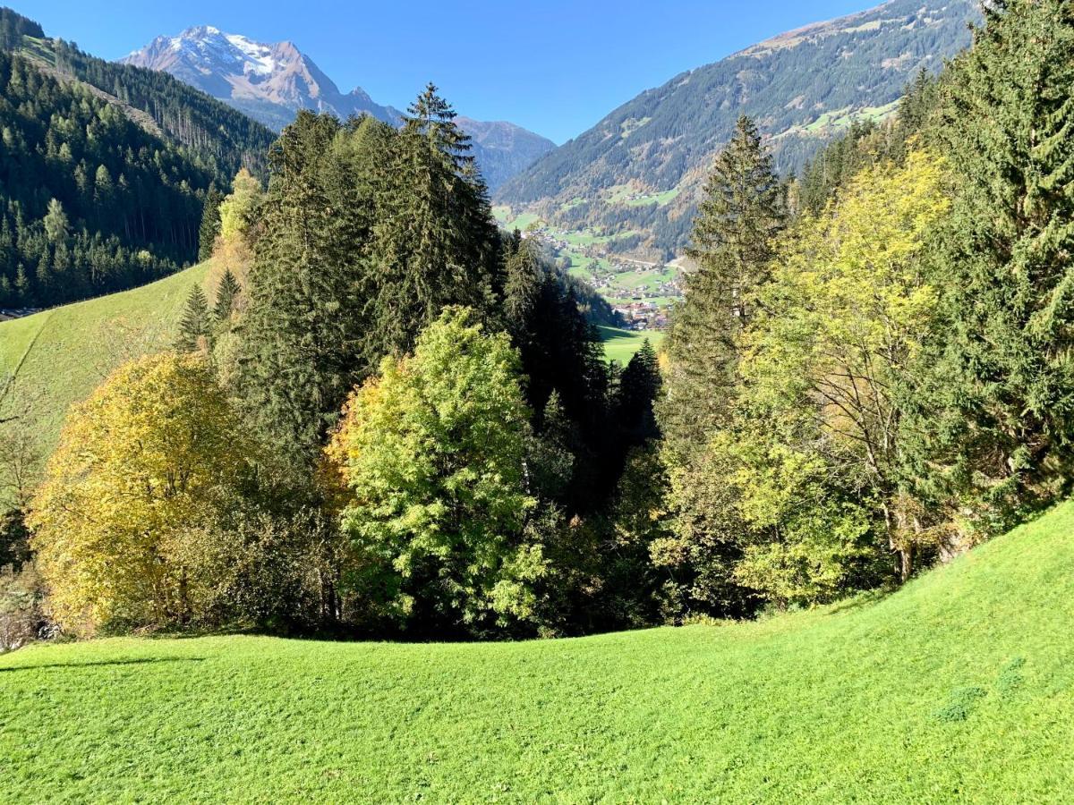 Zeit - Alpine Garden