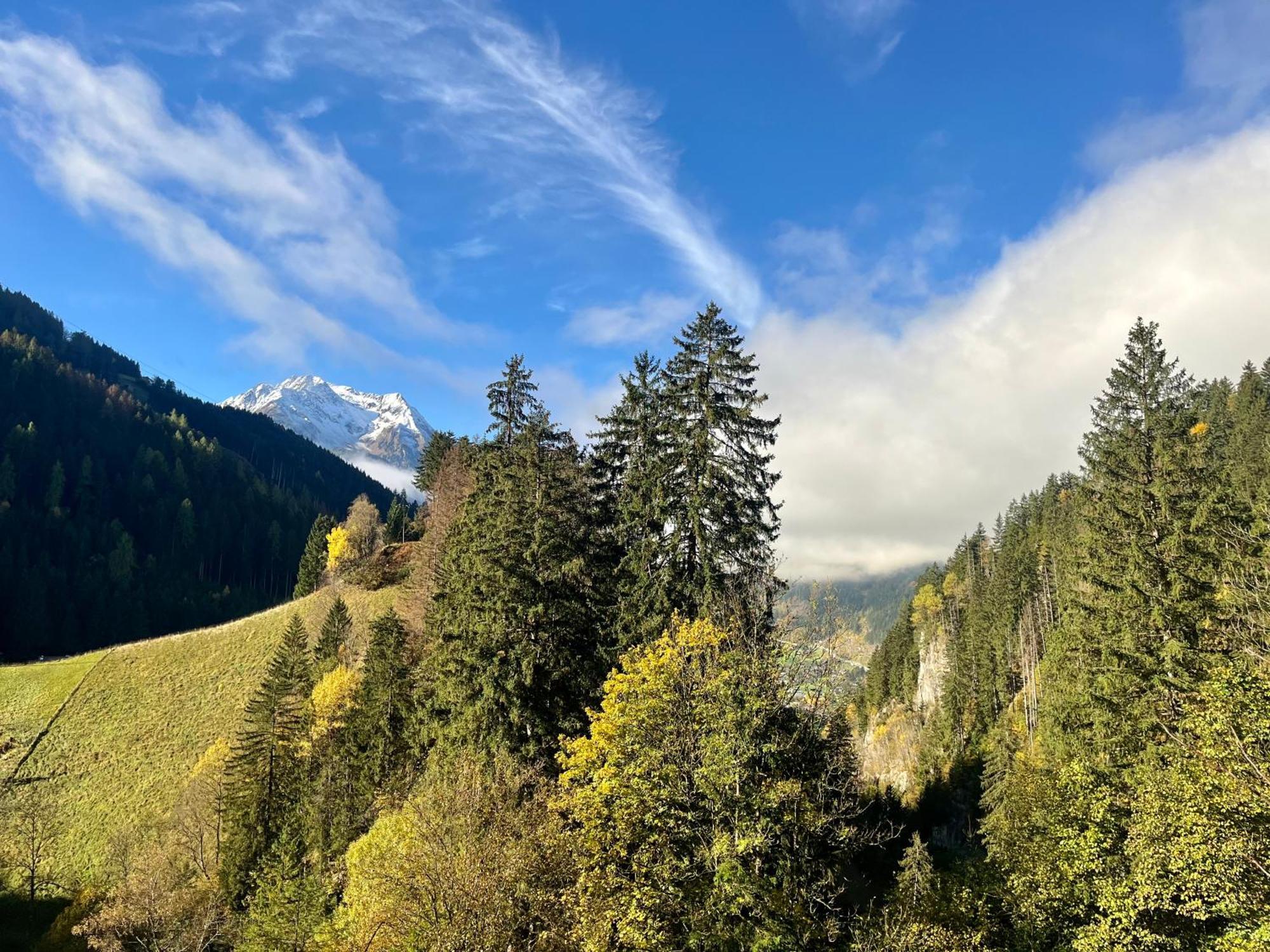 Zeit - Alpine Garden * Mayrhofen